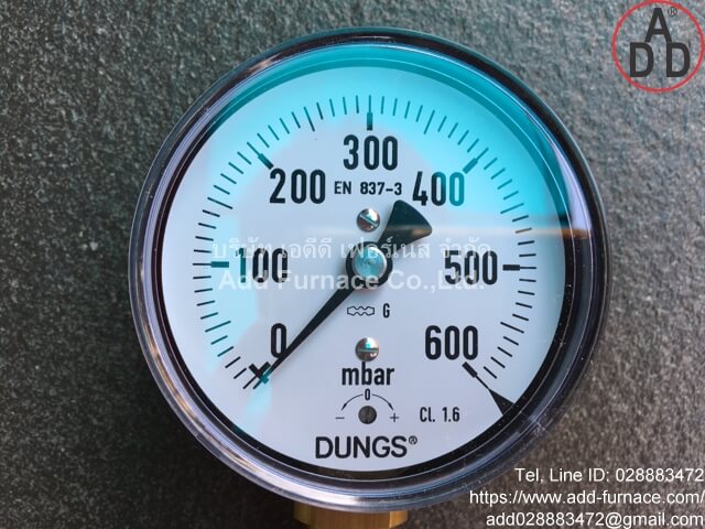 Dungs Pressure Gauge:0~600mbar (4)